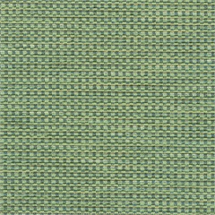 Palatine Crypton Upholstery Fabric